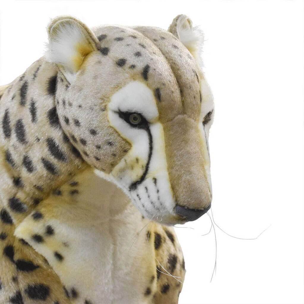Cheetah Life Size Stand 50 in. F94658