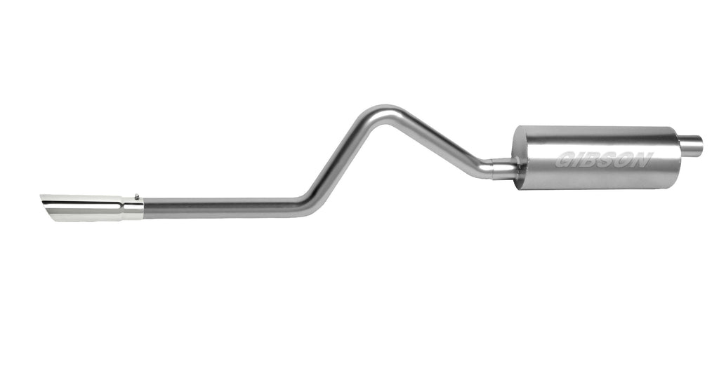 Split Rear Dual Cat-Back Exhaust System J563196