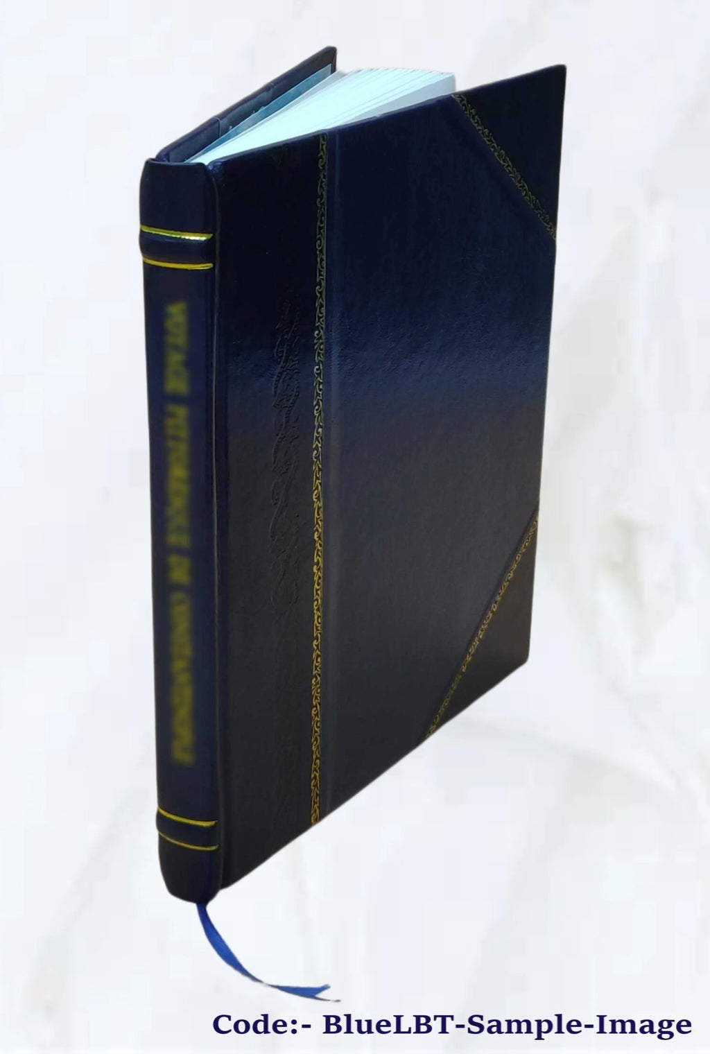 Leather Bound Book Z694