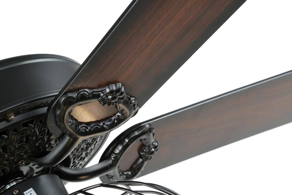 Black Cage Ceiling Fan with Light Kit and Remote Control J993