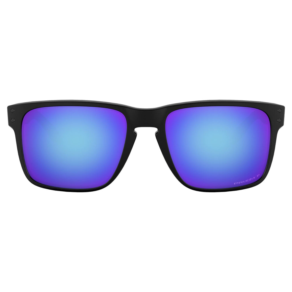 Matte Black Sunglasses L9542