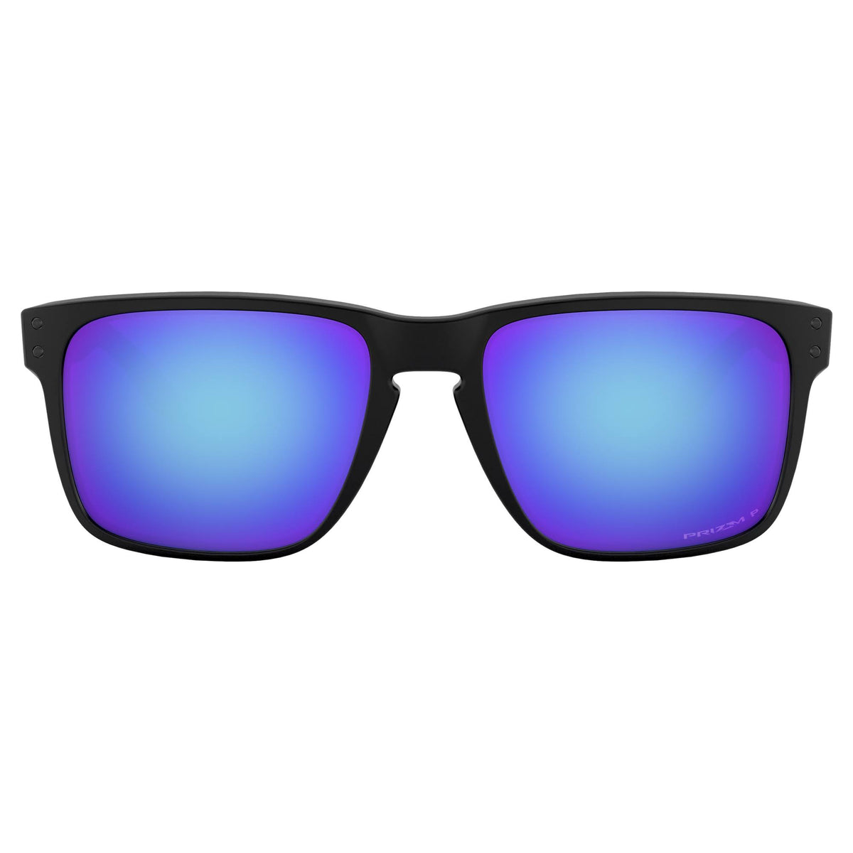 Matte Black Sunglasses L9542
