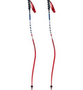 Downhill Race Poles S725425