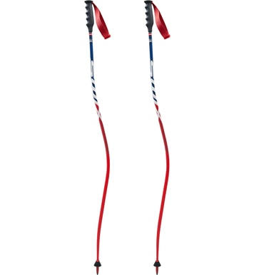 Downhill Race Poles S725425