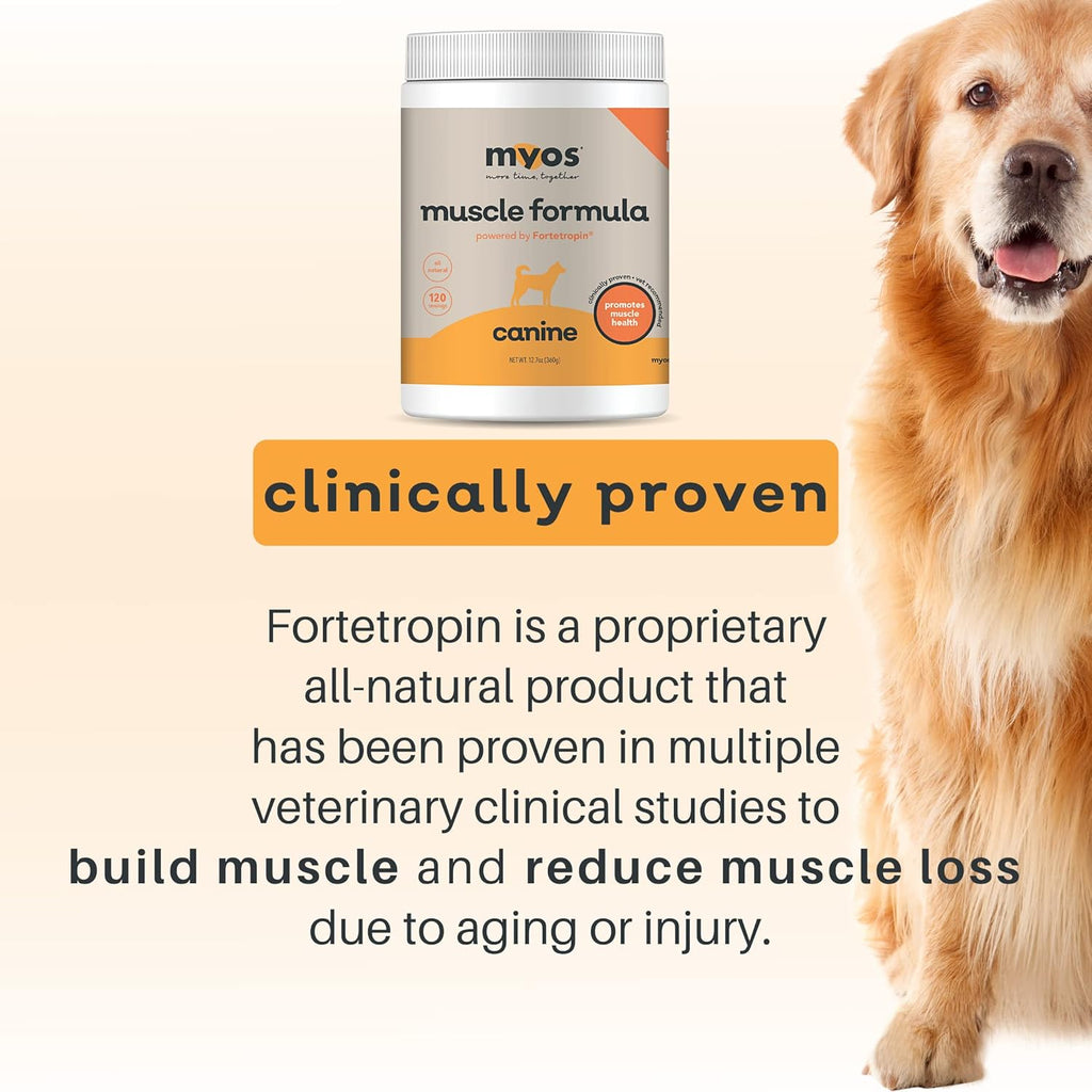 12.7 Ounce Canine Muscle Supplement Q7499