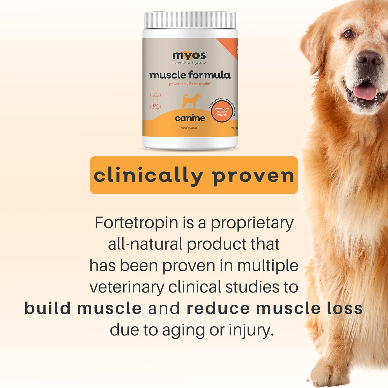 12.7 Ounce Canine Muscle Supplement Q7499