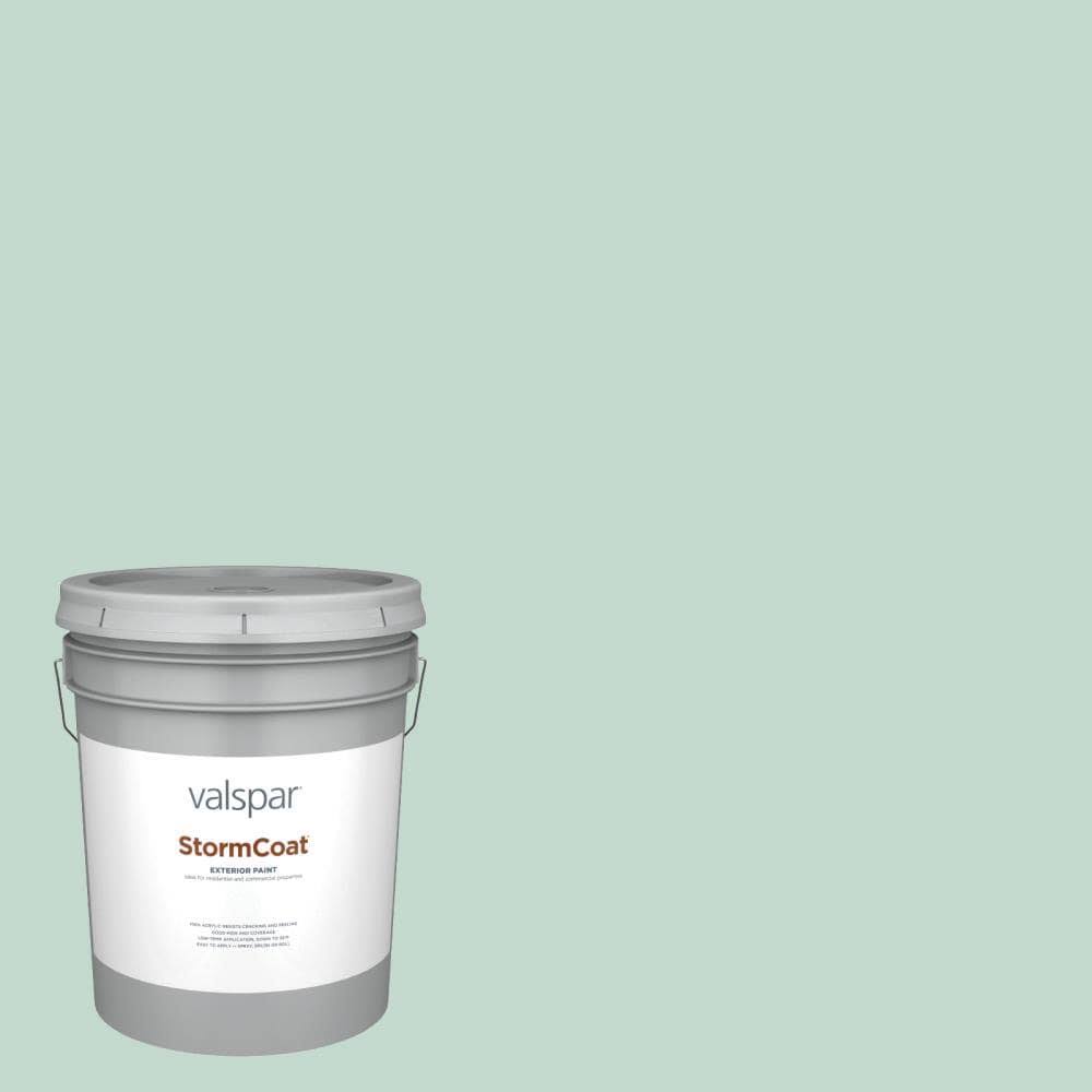 5-Gallon Exterior Paint T407554