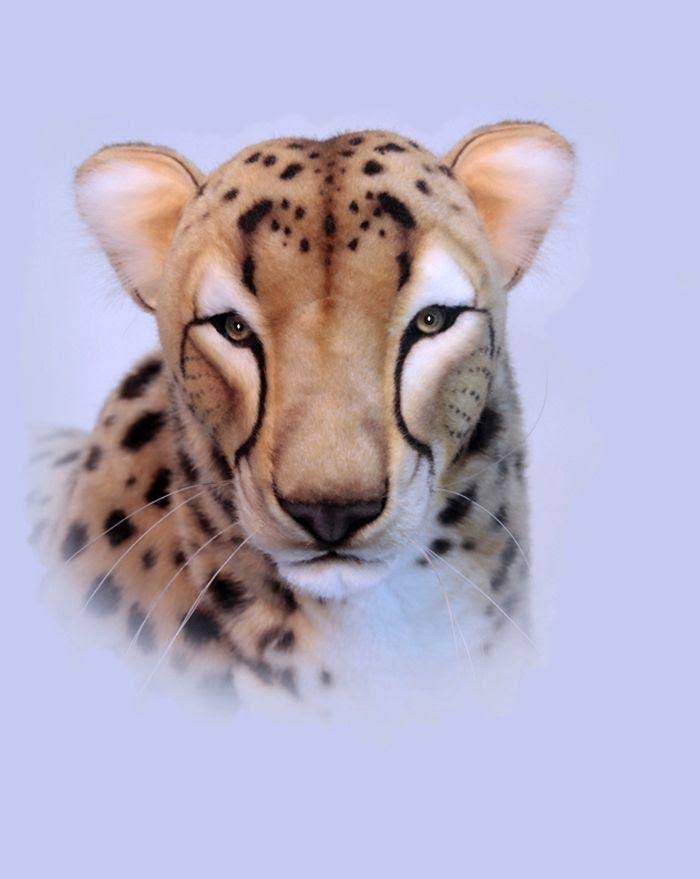 Cheetah Life Size Stand 50 in. F94658