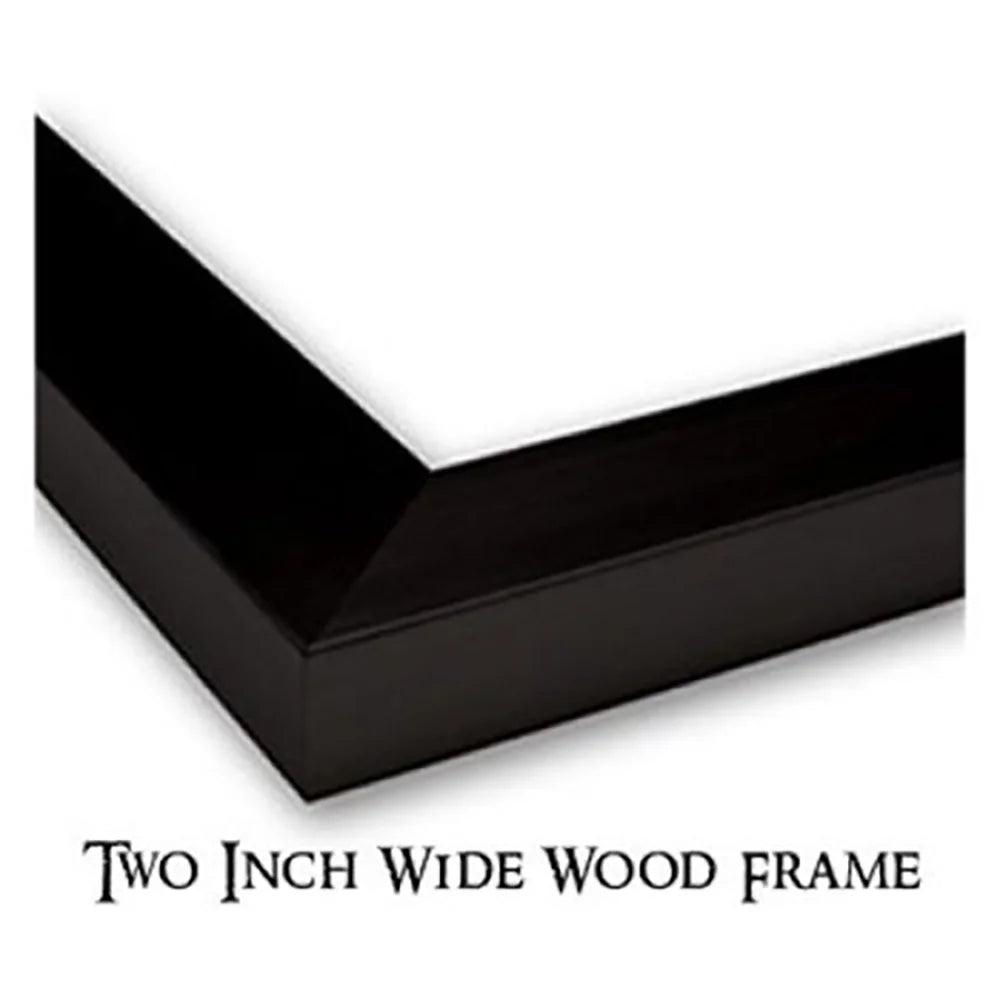 Black Modern Framed Museum Art Print W772