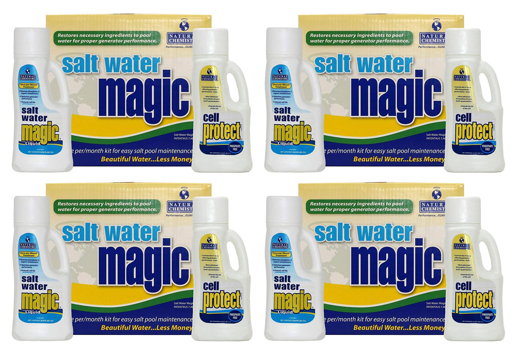 Spa Swimming Pool Salt Water Chemical Kit A535