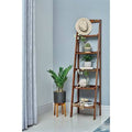 71.75'' H x 18.5'' W Ladder Bookcase V782964