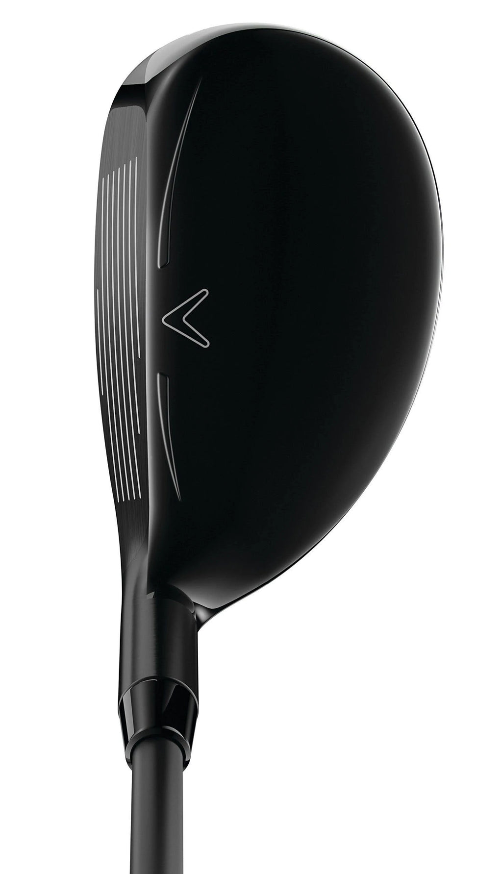 Rogue Hybrid Q6877