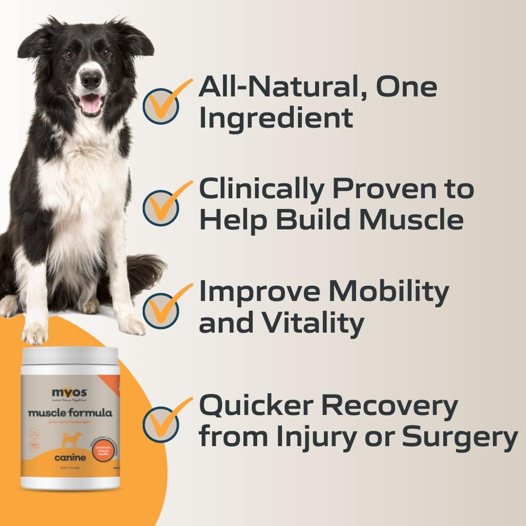 12.7 Ounce Canine Muscle Supplement Q7499