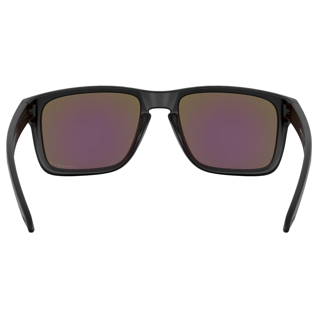 Matte Black Sunglasses L9542
