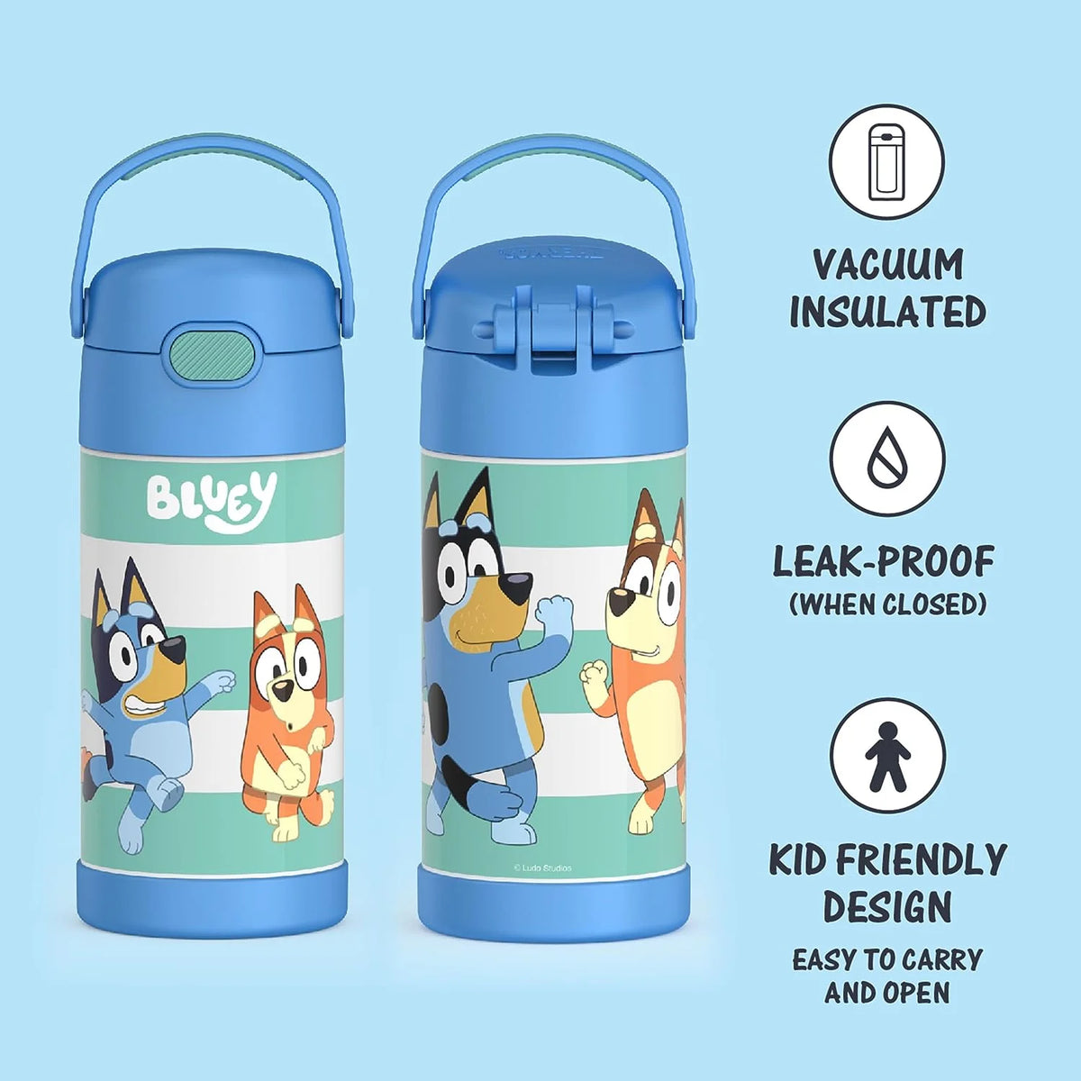 Bluey 12 Ounce Stainless Steel Kids Straw Bottle P627