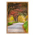 Framed Photograph Print L381