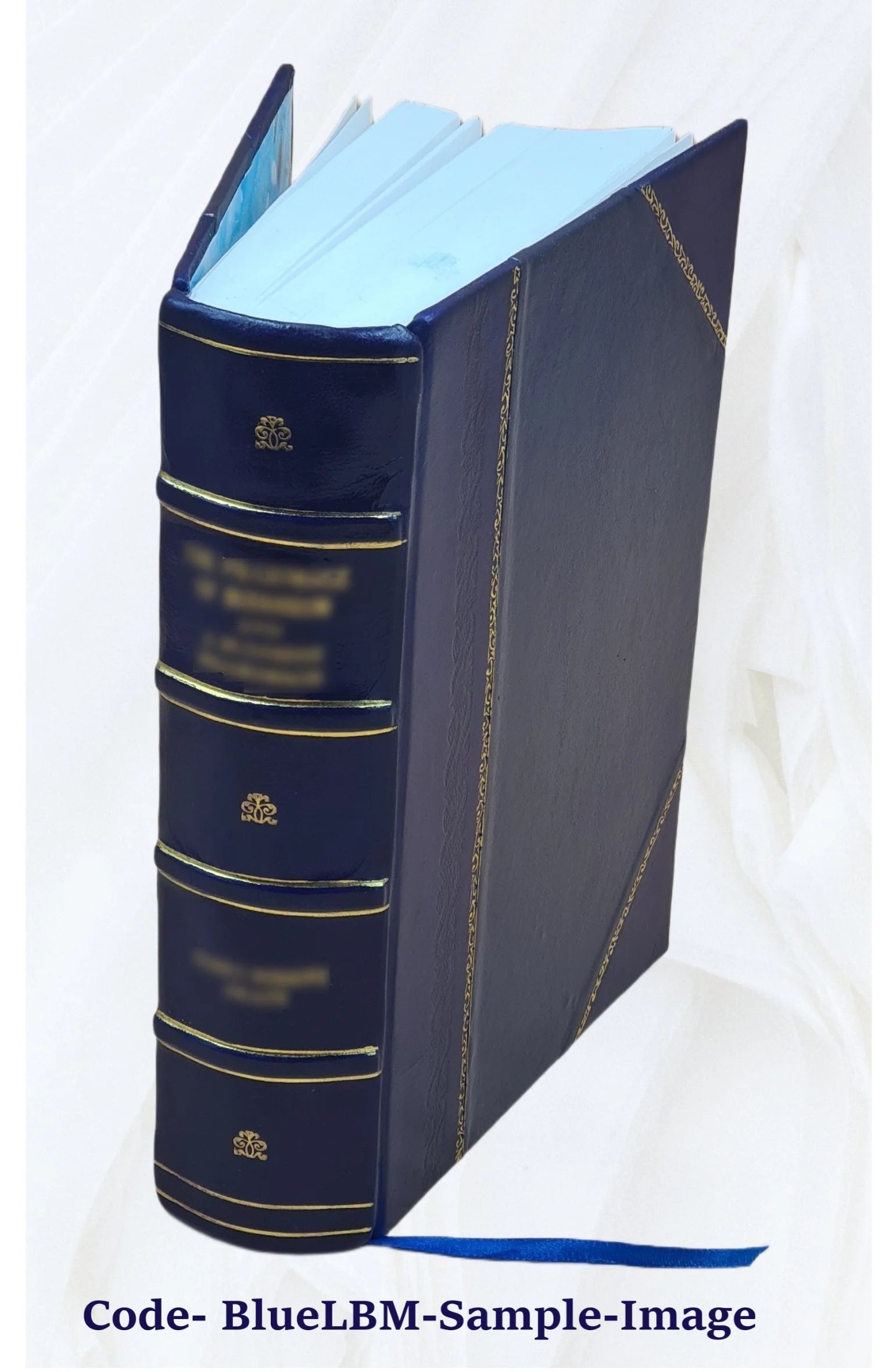 Leather Book C247