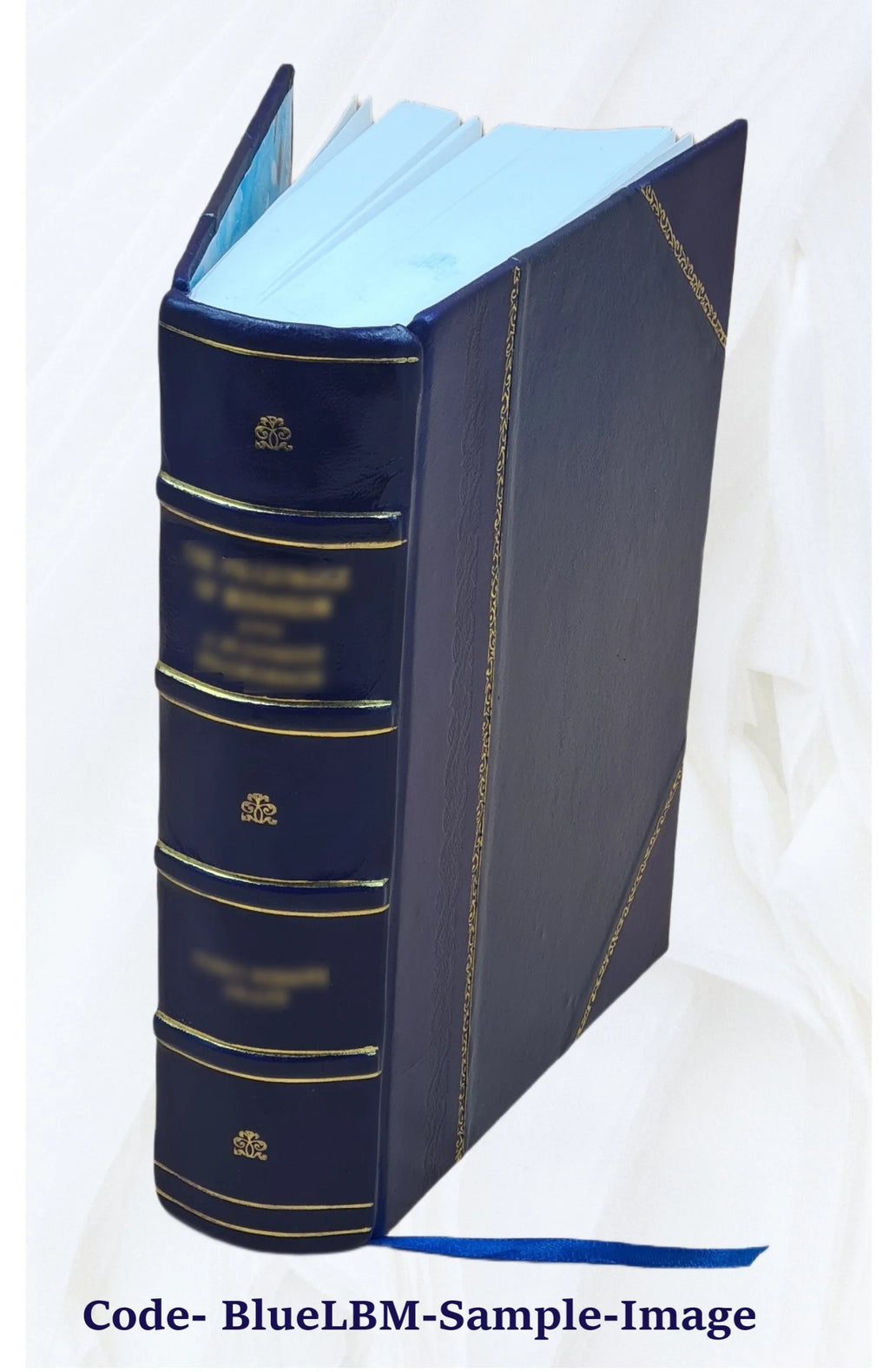 Leather Bound Book I31403