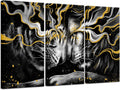Black and Gold Framed Canvas Lion Wall Art F4908