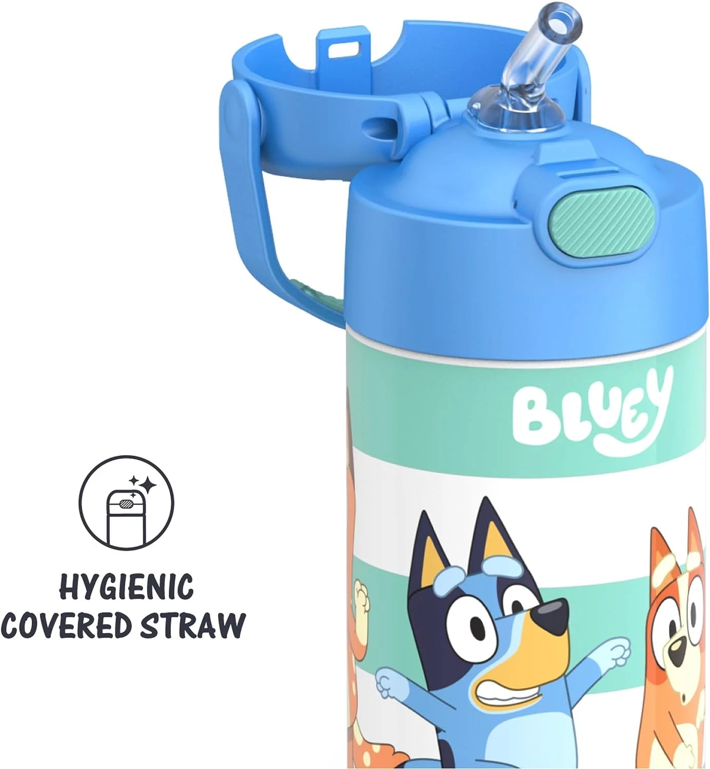 Bluey 12 Ounce Stainless Steel Kids Straw Bottle P627