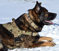 Green Multicam Harness X4834