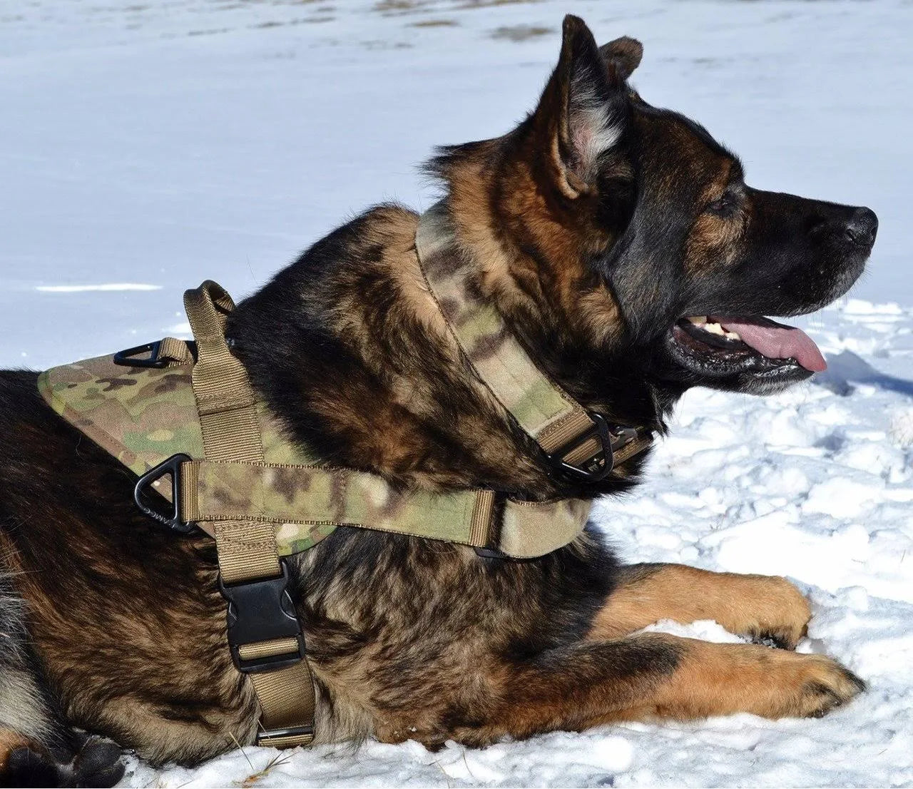 Green Multicam Harness X4834