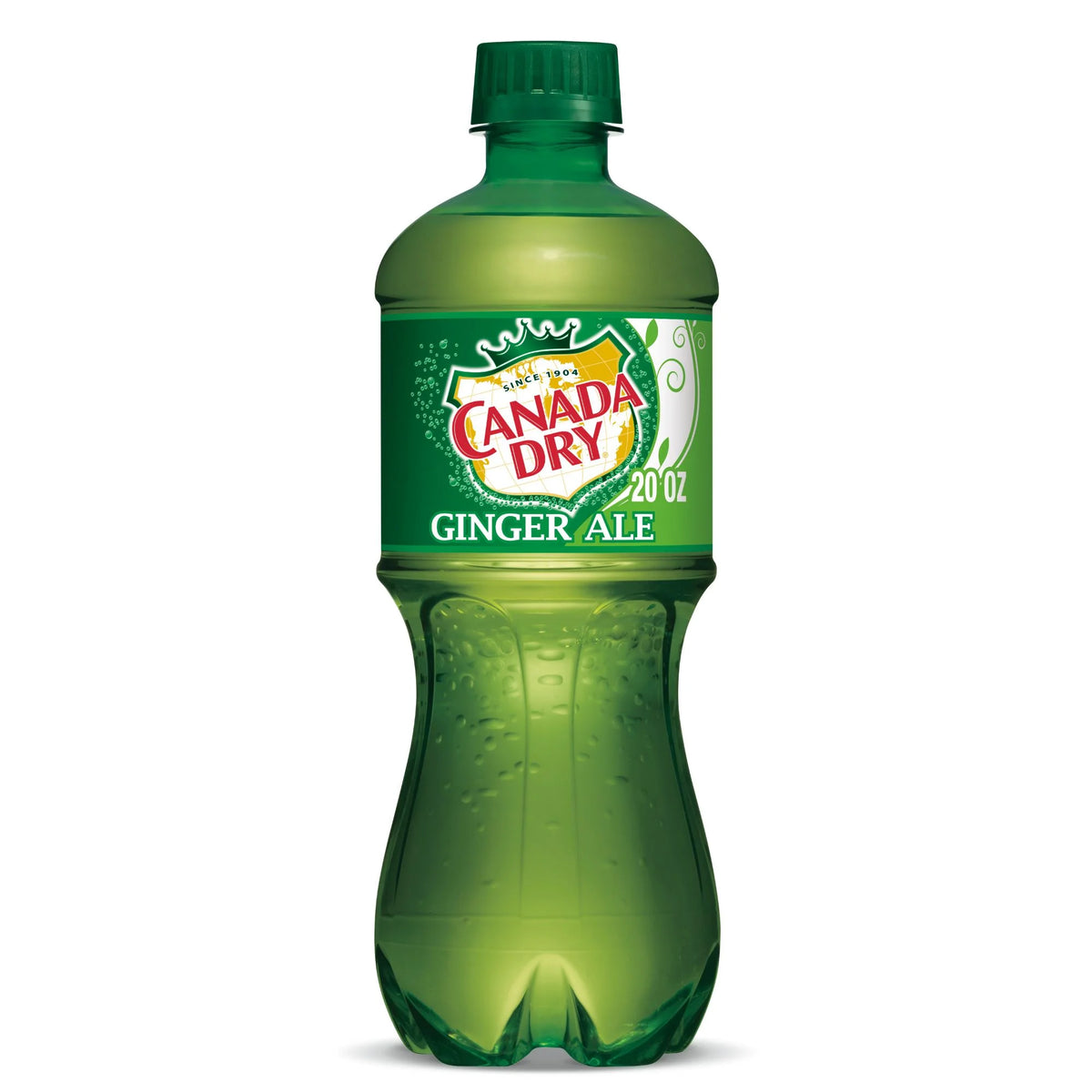 20oz Ginger Ale Soda Pop, Quantity of 10 Z4184