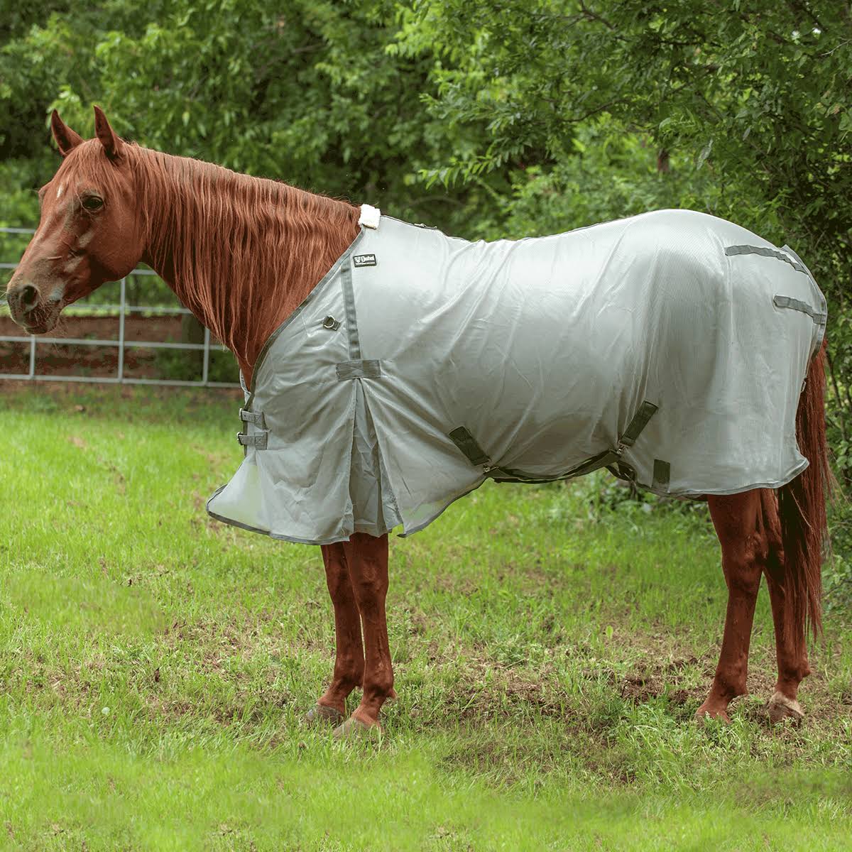 Econo Fly Sheet O20026