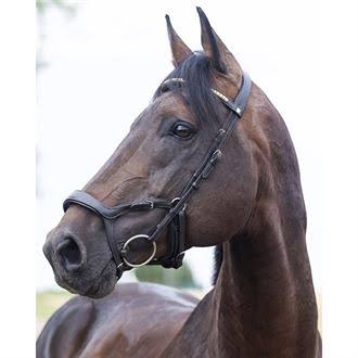 Bridle K558