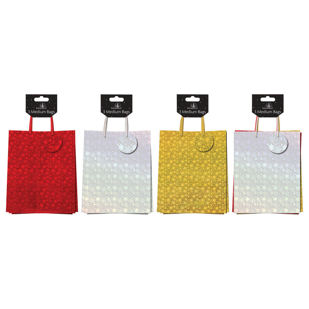 Holographic Gift Bags PK12 P199