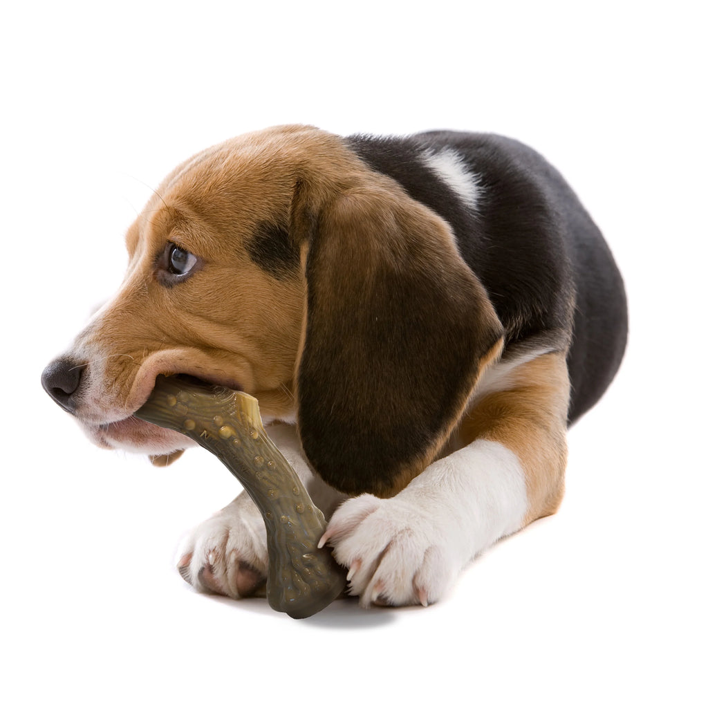 Venison Medium Dog Chew Toy R2132