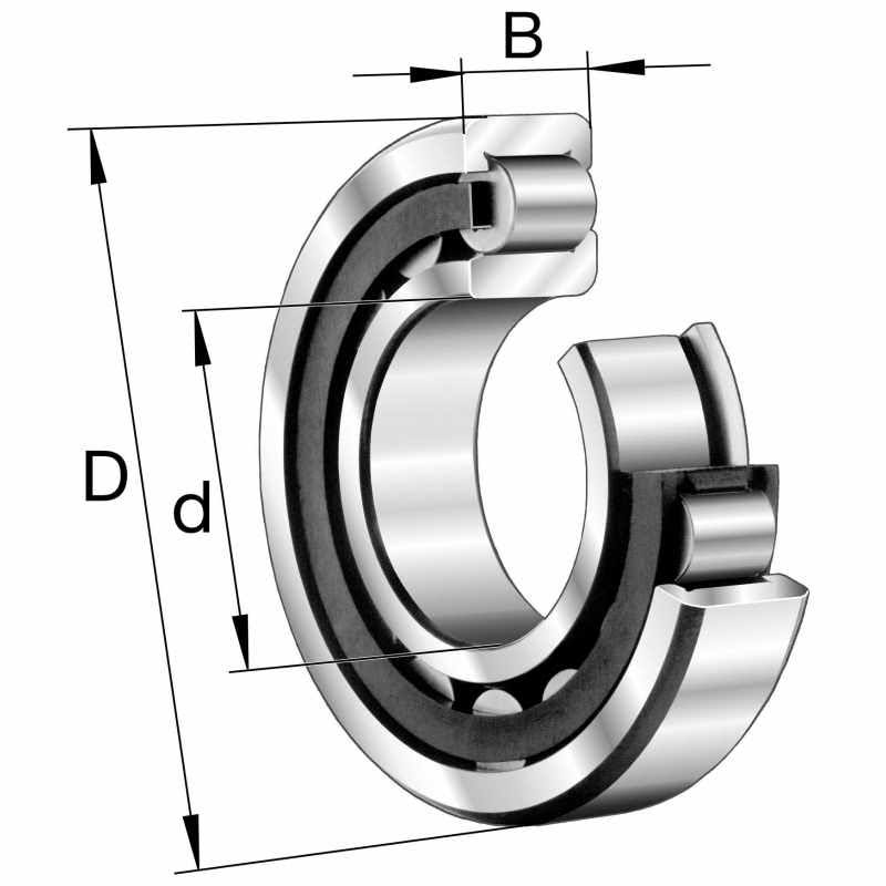 Cylindrical Roller Bearings X661