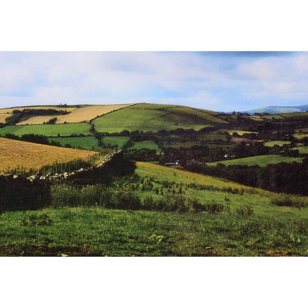 Large Printed Photograph 36 x 48 x 0.25 in. C64312