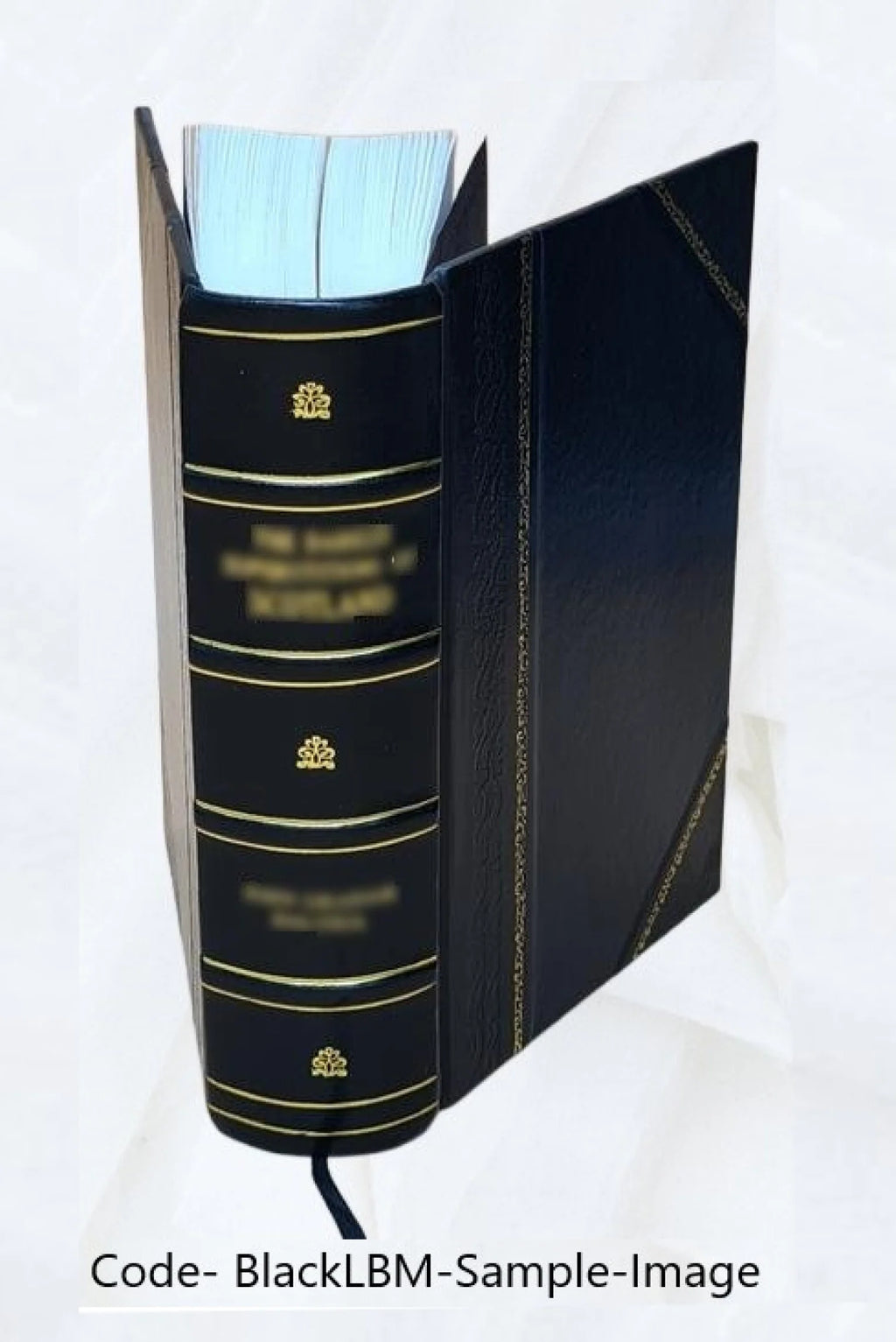Leather Book C247