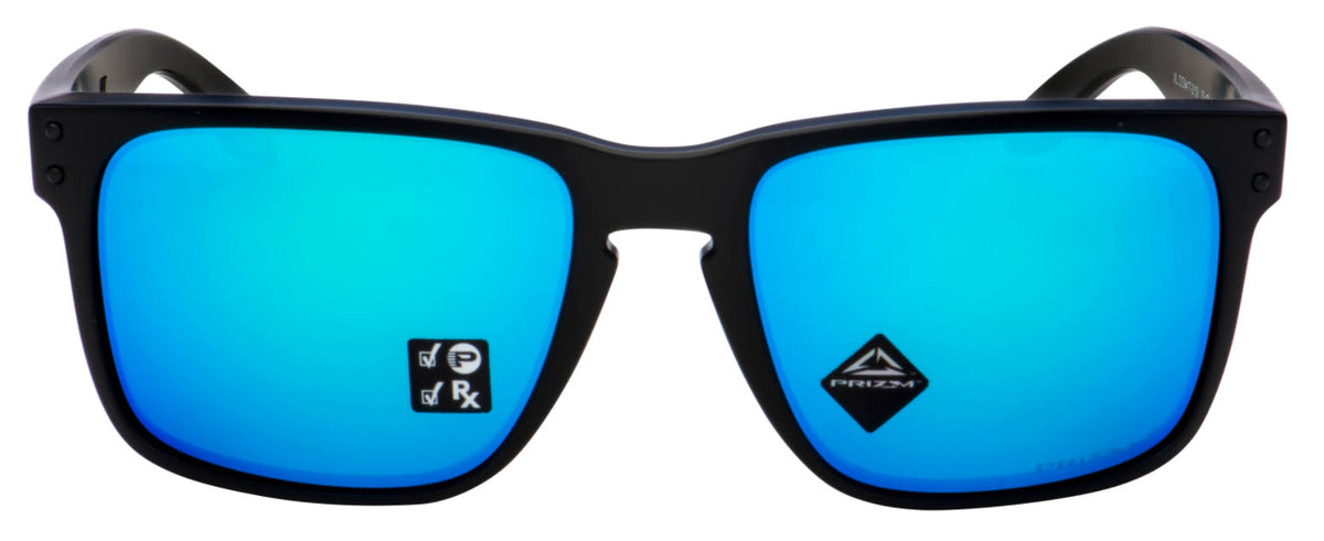 Matte Black Sunglasses L9542