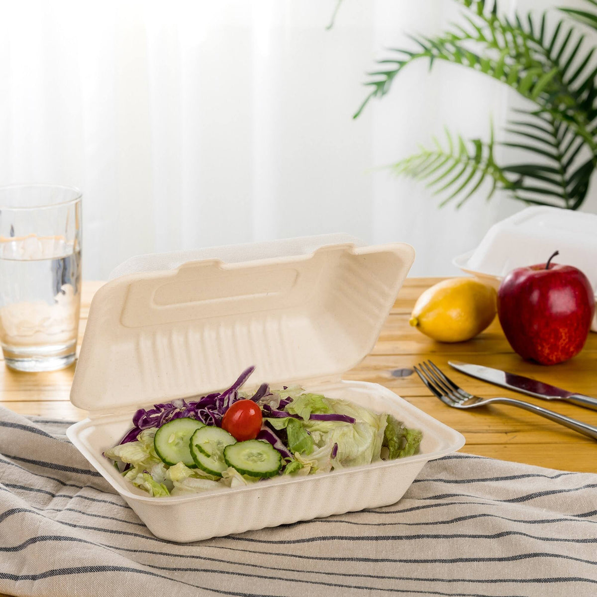 8 in. White Sugarcane Clamshell Containers (300 Pack) R98795