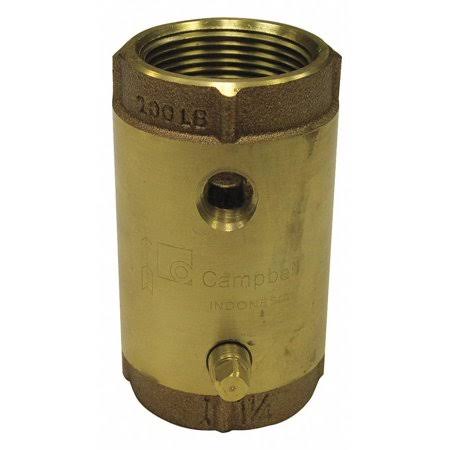 1 in Brass Inline Spring Check Valve with Tap, FNPT x FNPT E963