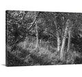 Canvas Print 40x22 H x 60x22 W x 1.5x22 D M51657