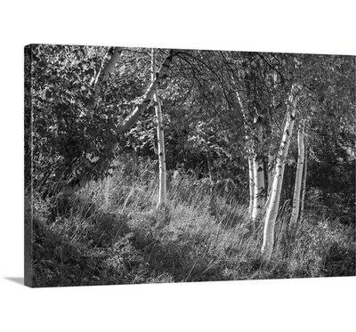 Canvas Print 40x22 H x 60x22 W x 1.5x22 D M51657