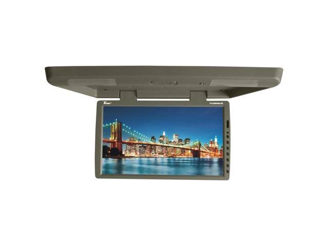 17.3x22 Flip Down with Built in DVD IR FM Modul Tan V701050