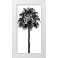 White Modern Wood Framed Museum Art Print Z999
