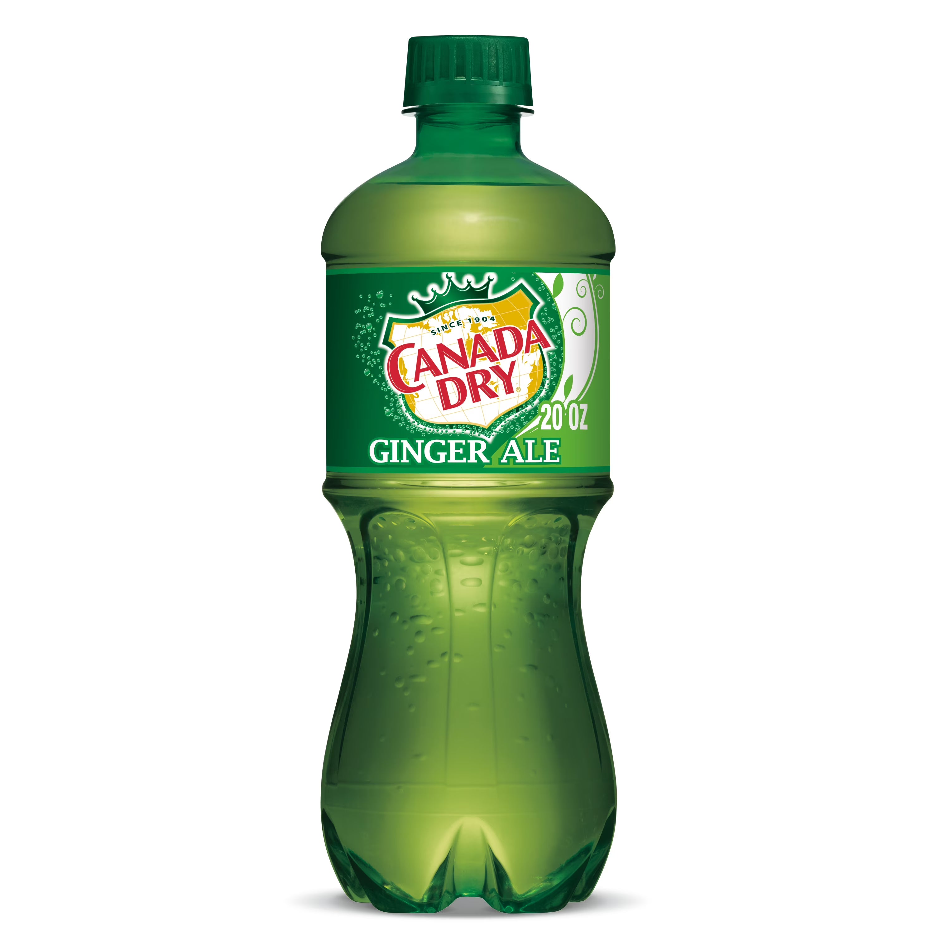 20oz Ginger Ale Soda Pop, Quantity of 10 Z4184