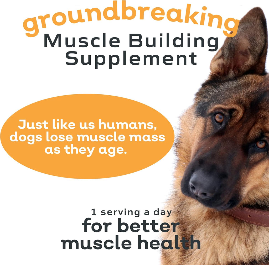 12.7 Ounce Canine Muscle Supplement Q7499