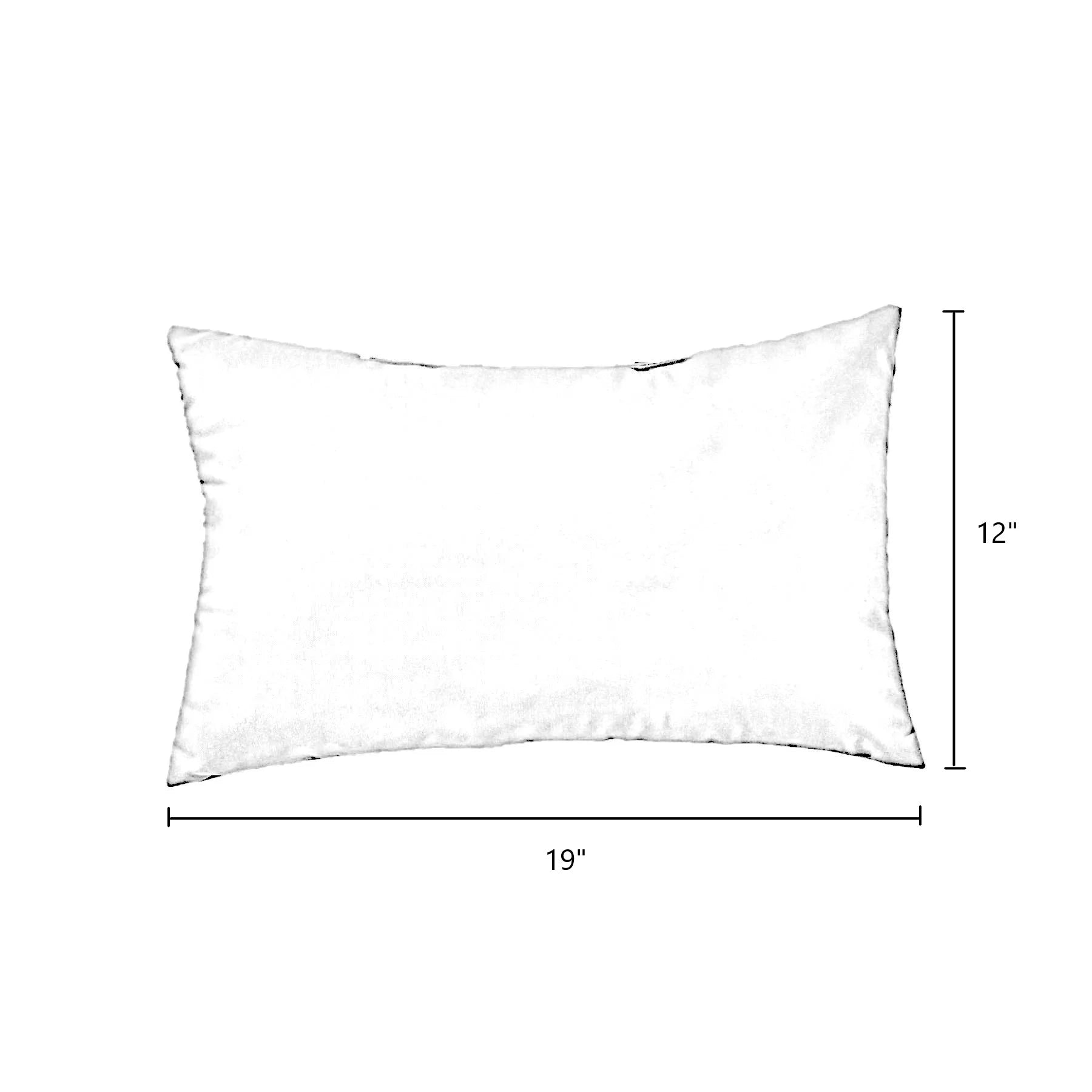 Baltic Blue Paisley 19 x 12 in. Outdoor Rectangle Throw Pillow (Set of 2) S955743