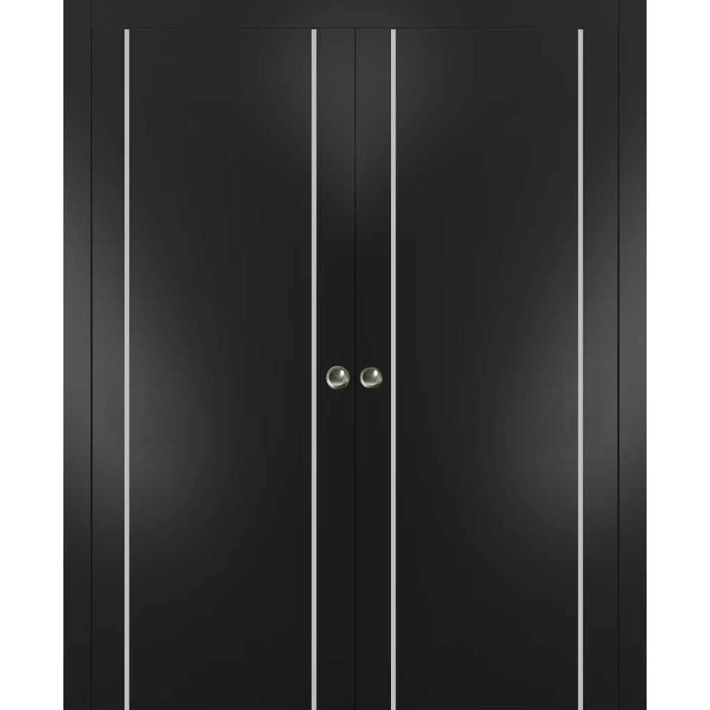 Matte Black Sliding French Double Pocket Doors with Frosted Glass, Solid Wood Y21853