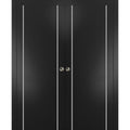 Matte Black Sliding French Double Pocket Doors with Frosted Glass, Solid Wood Y21853