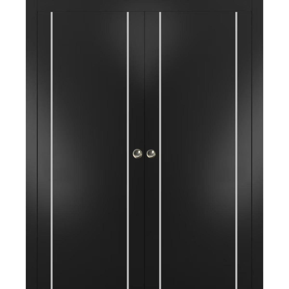 Matte Black Sliding French Double Pocket Doors with Frosted Glass, Solid Wood Y21853