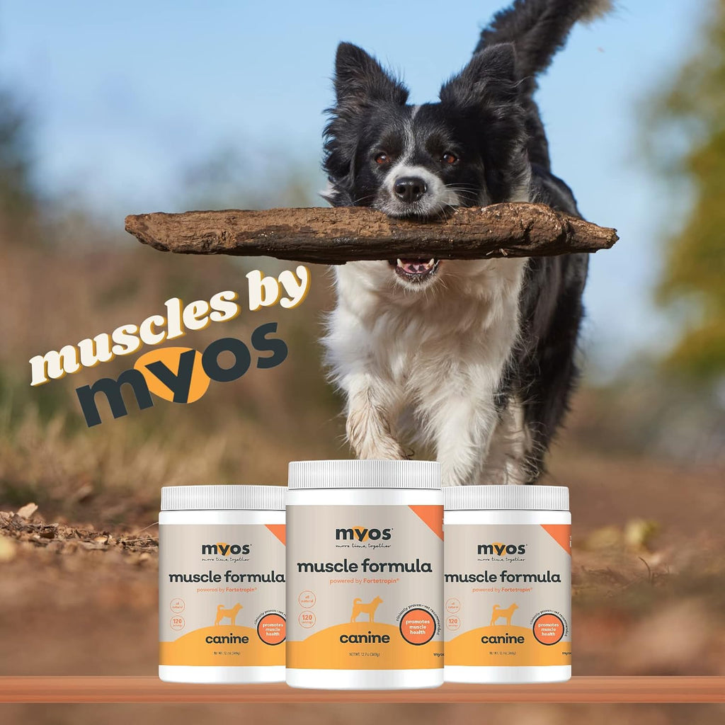 12.7 Ounce Canine Muscle Supplement Q7499