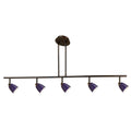 5 Light Track Lighting D5575