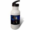 Space Shuttle Atlantis 21 oz Sports Water Bottle C2655